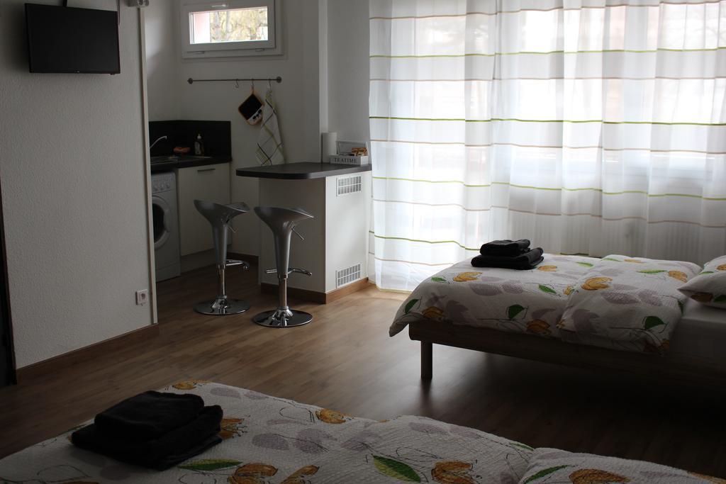 Studios Near Basel Airport Saint-Louis  Exterior photo